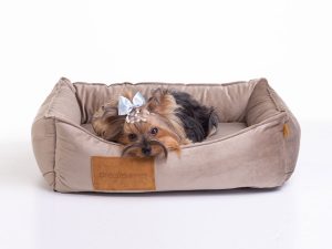 Dreams Pet Modelo Plus