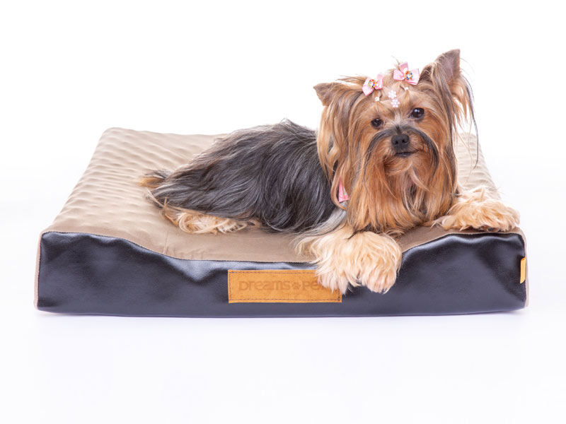Dreams Pet Modelo Slim - Imagem 5