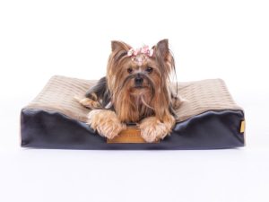 Dreams Pet Modelo Slim